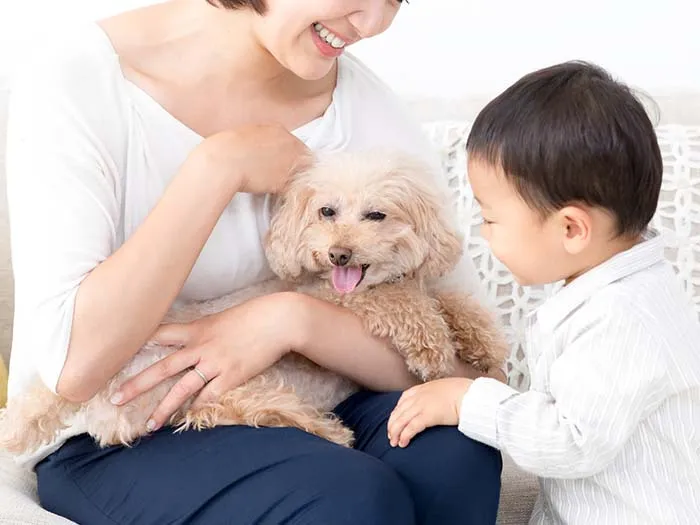 犬と家族
