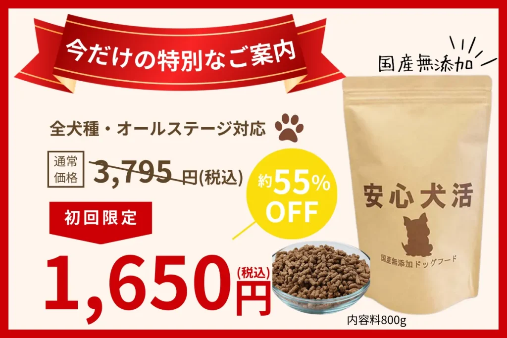 安心犬活のオファー