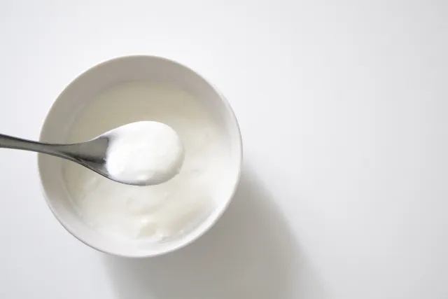 乳酸菌