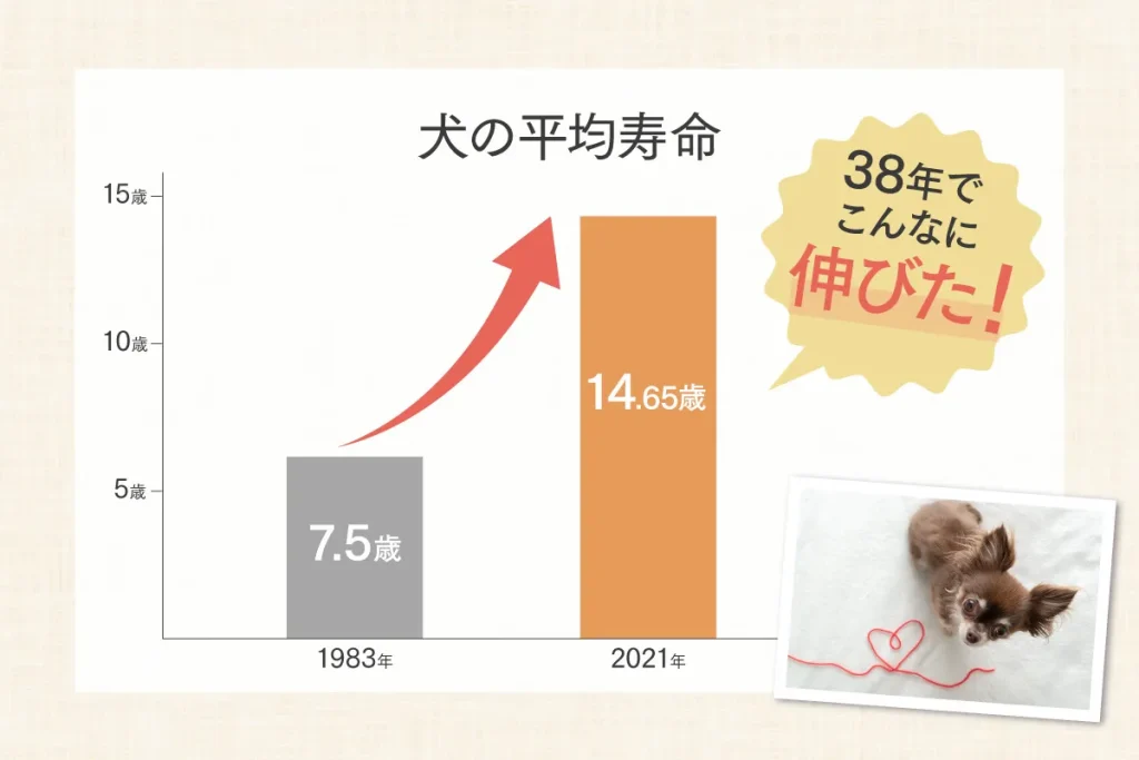犬の平均寿命