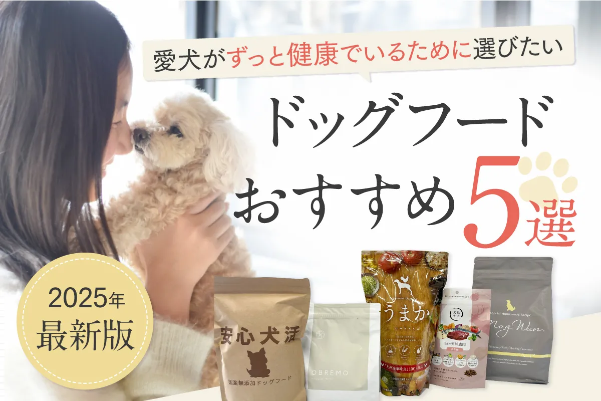 ドッグフードおすすめ5選