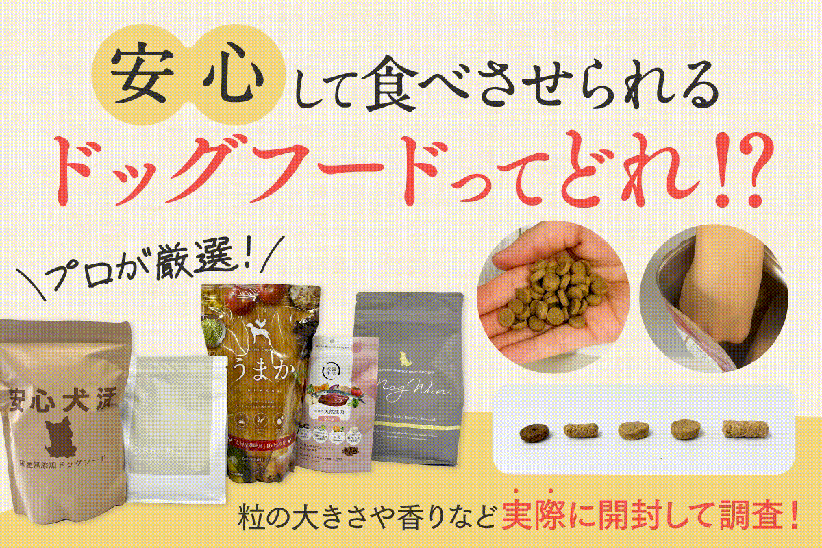 安心して食べさせられるドッグフードってどれ